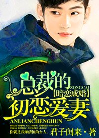 暗恋成婚,总裁的初恋爱妻