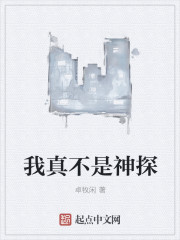 ���治����̽