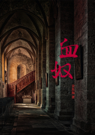 血奴(简)