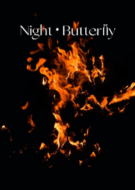夜,蝴蝶(年下 半强制 1v1)