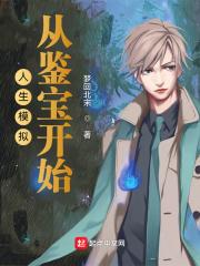 人生模拟:从鉴宝开始