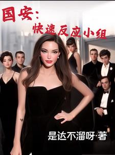 国安:罪证收集录