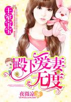 王室宝宝:殿下爱妻无度