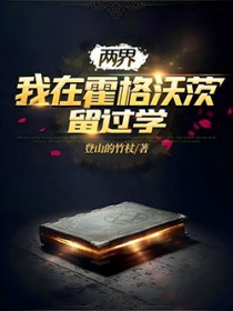 两界:我在霍格沃茨留过学