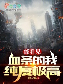 能看见血条的我纯度极高