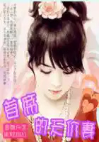 契约恶妻:首席的天价妻