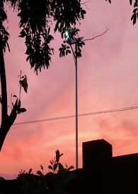 乖娇(1v3 兄妹 h)