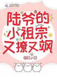 陆爷的小祖宗又撩又颯