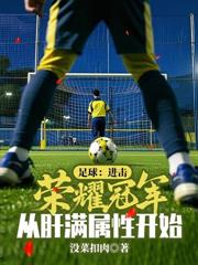 冠军足球教练:从英乙开始