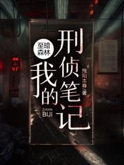 至暗森林:我的刑侦笔记