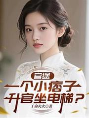 官途:一个小痞子,升官坐电梯