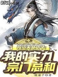 投资天命之子,我的实力宗门总和