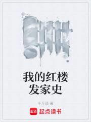 我的红楼发家史