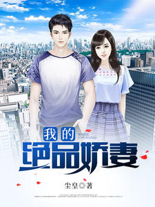 我的绝品娇妻(妻江牧阳安澜)