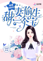 逃婚100天:甜妻偷生一个宝