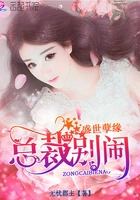 盛世孽缘:总裁,别闹!