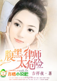 腹黑律师太危险